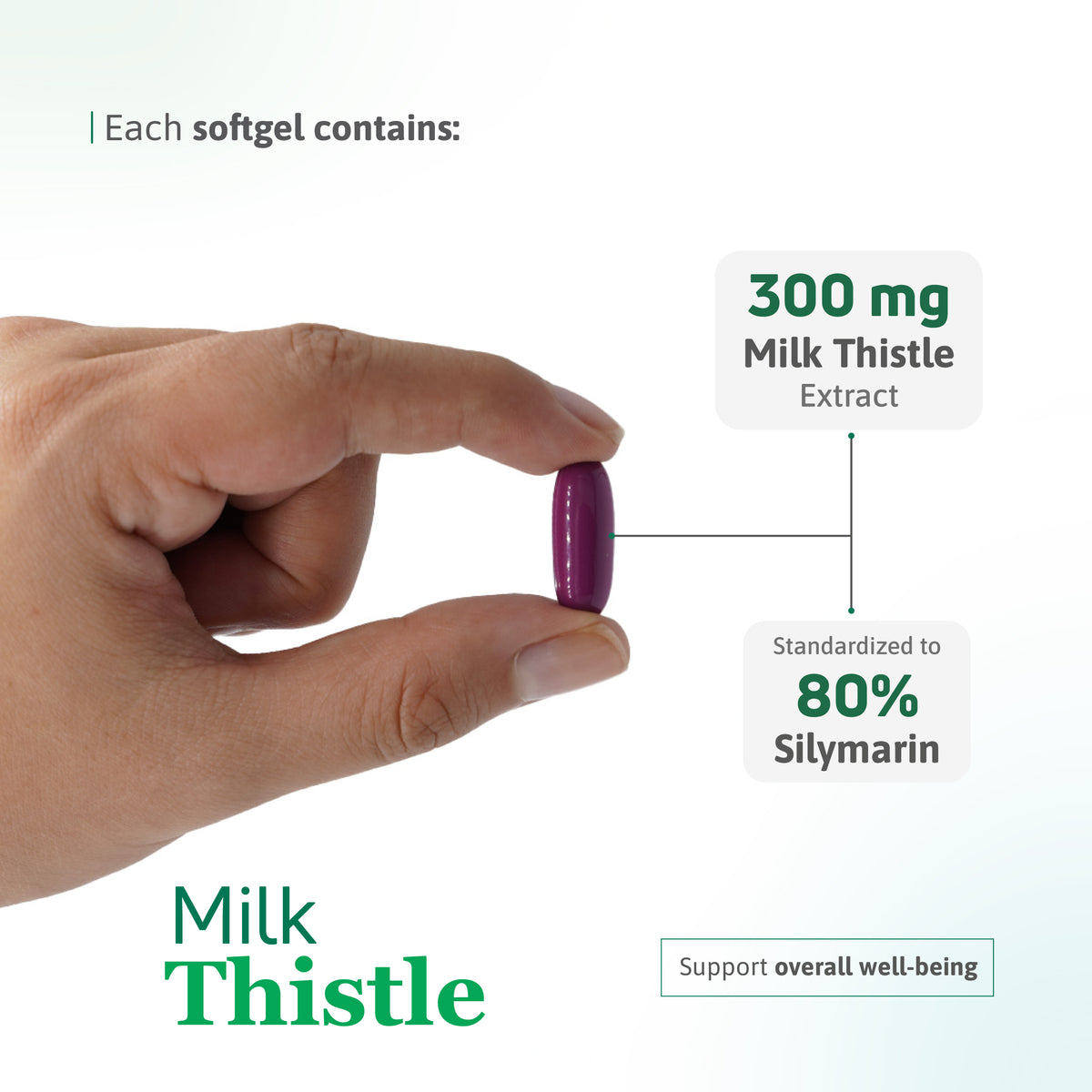 Milk Thistle Extract 300 mg β Daily Liver & Wellness Support - Benfit