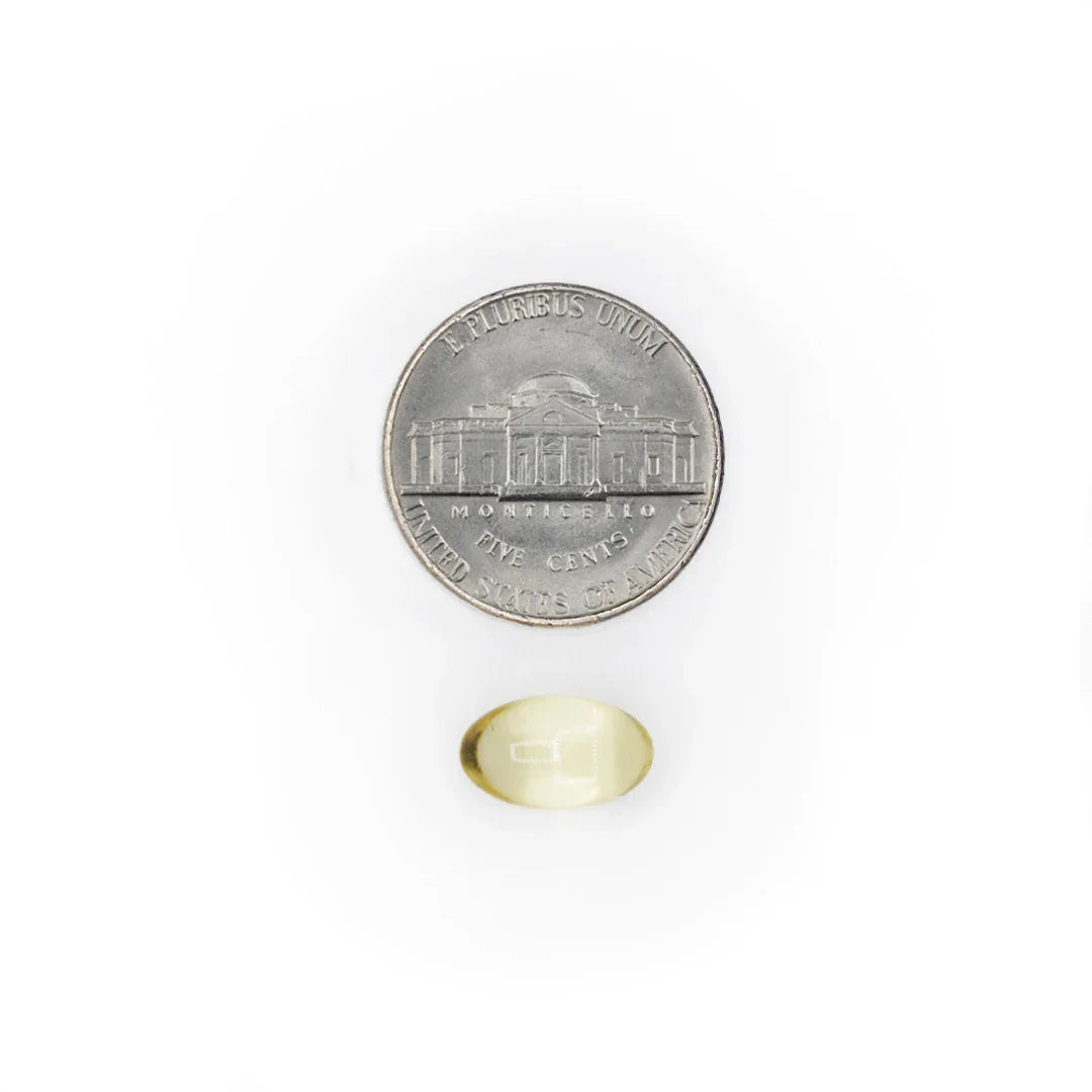 Garlic Oil yellow softgel size comparison with a five cent coin