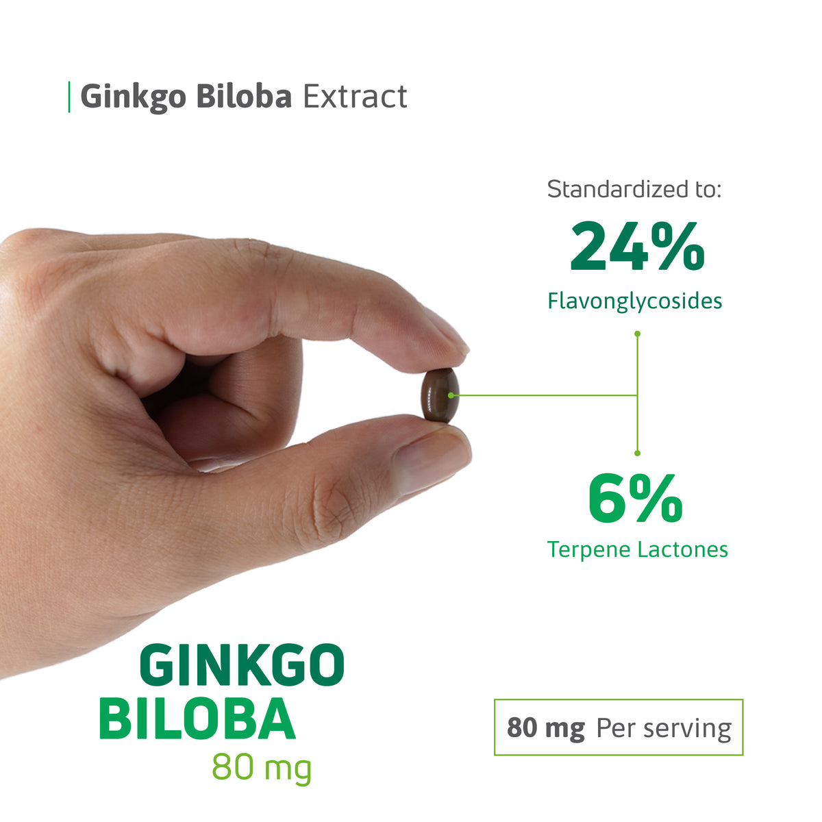 Ginkgo Biloba 80 mg softgel highlighting 24% flavonglycosides and 6% terpene lactones.
