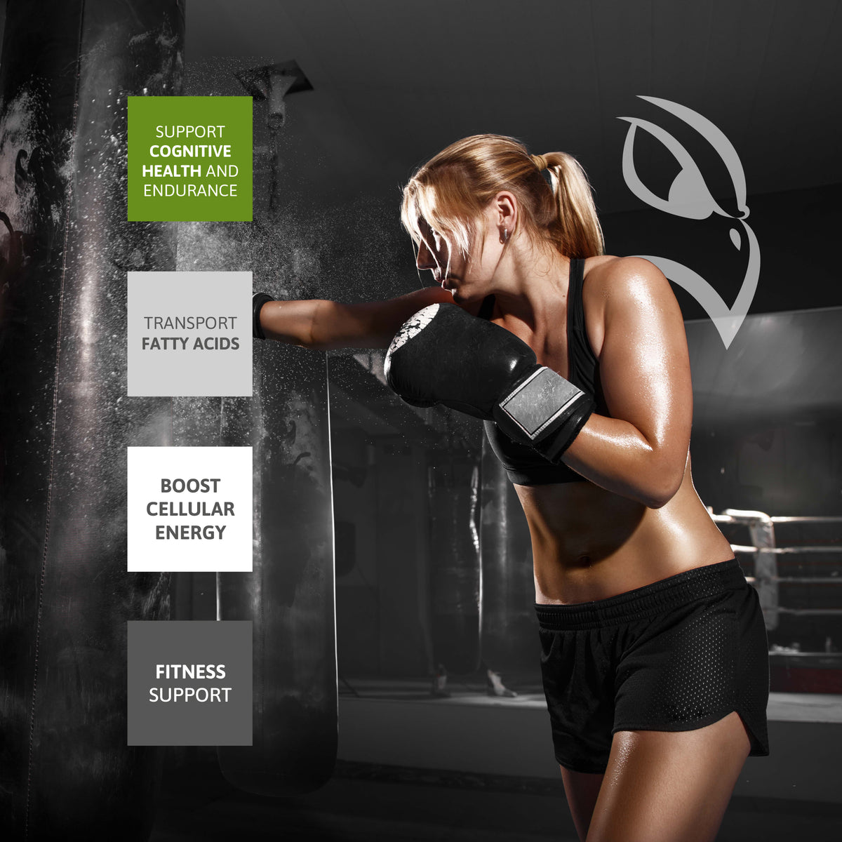 L-Carnitine fitness support lifestyle image with boxing workout and fatty acid transport benefits