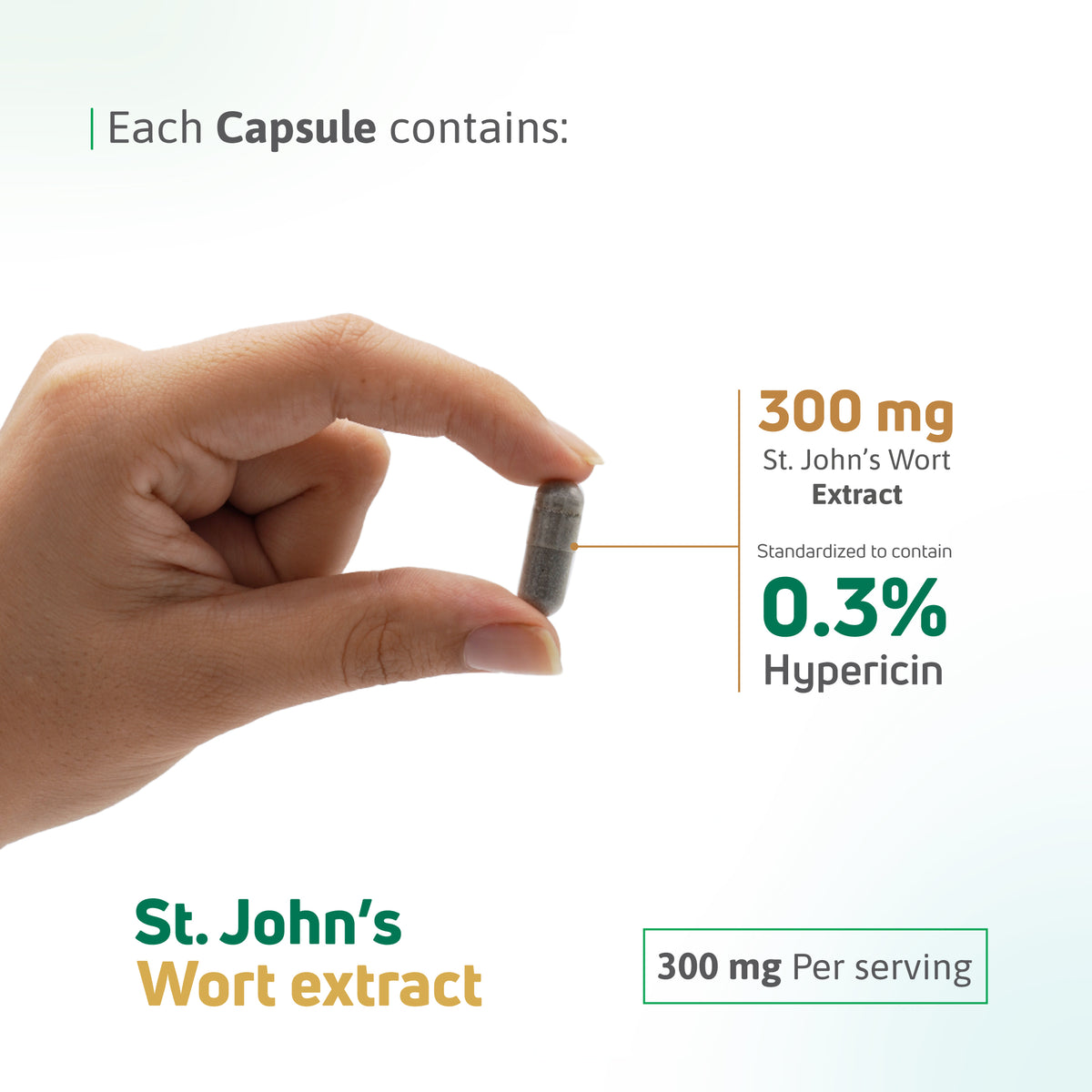 St. John’s Wort Extract 300 mg capsule standardized to contain 0.3% hypericin