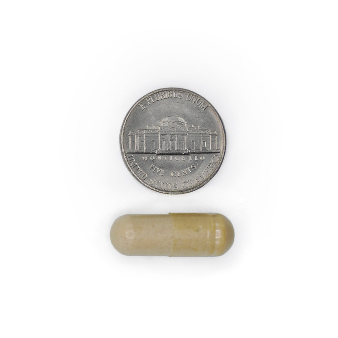 Vitamin C 1000 mg capsule size comparison with a five cent coin