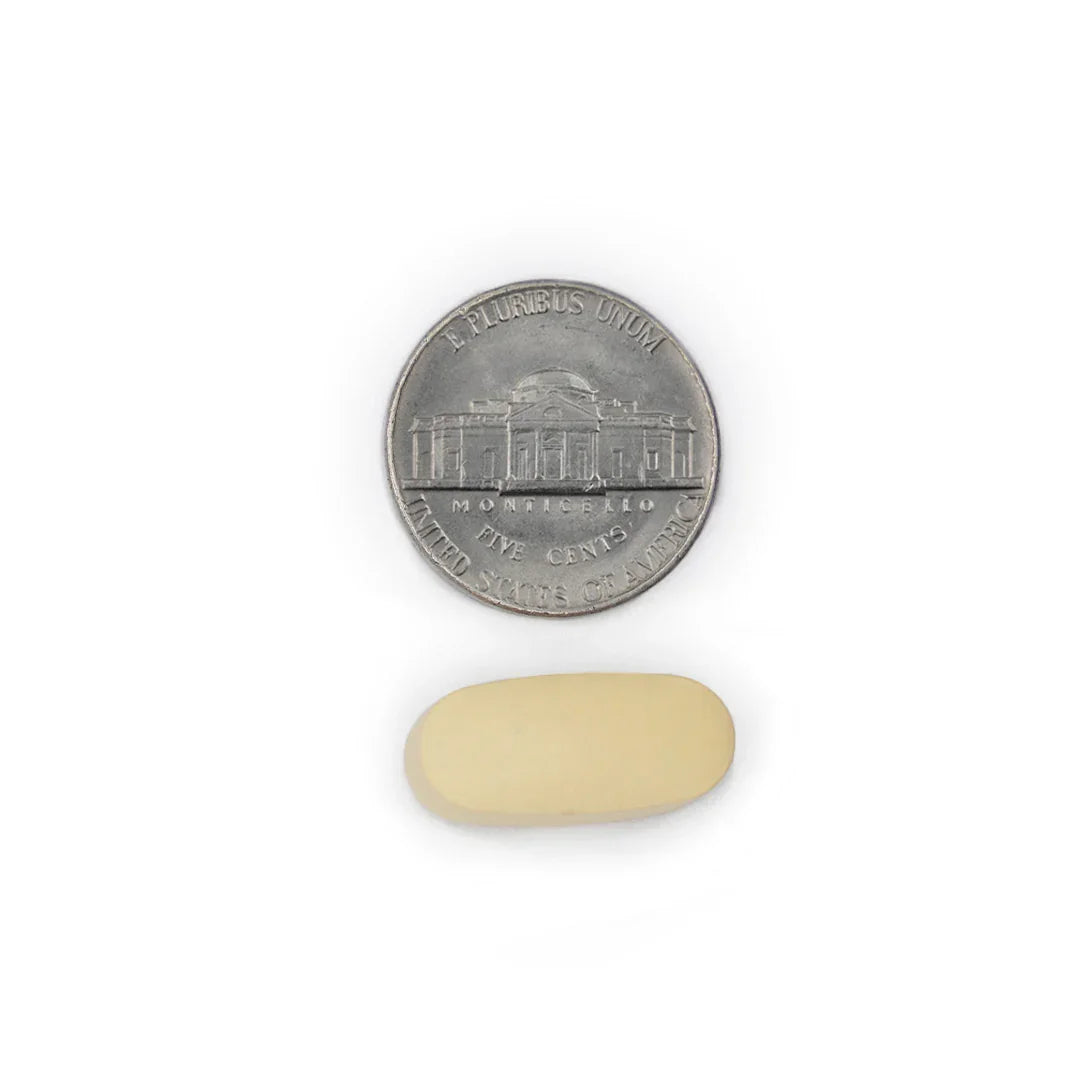 B-100 Complex coated tablet size comparison with a five cent coin