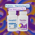 BenFit Gut Wellness Duo bundle featuring Enterophylus Probiotic Formula and DigestMax Digestive Enzymes dietary supplements for digestive and gut health support.