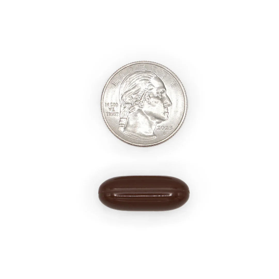 Brainy brown softgel size comparison with a quarter coin