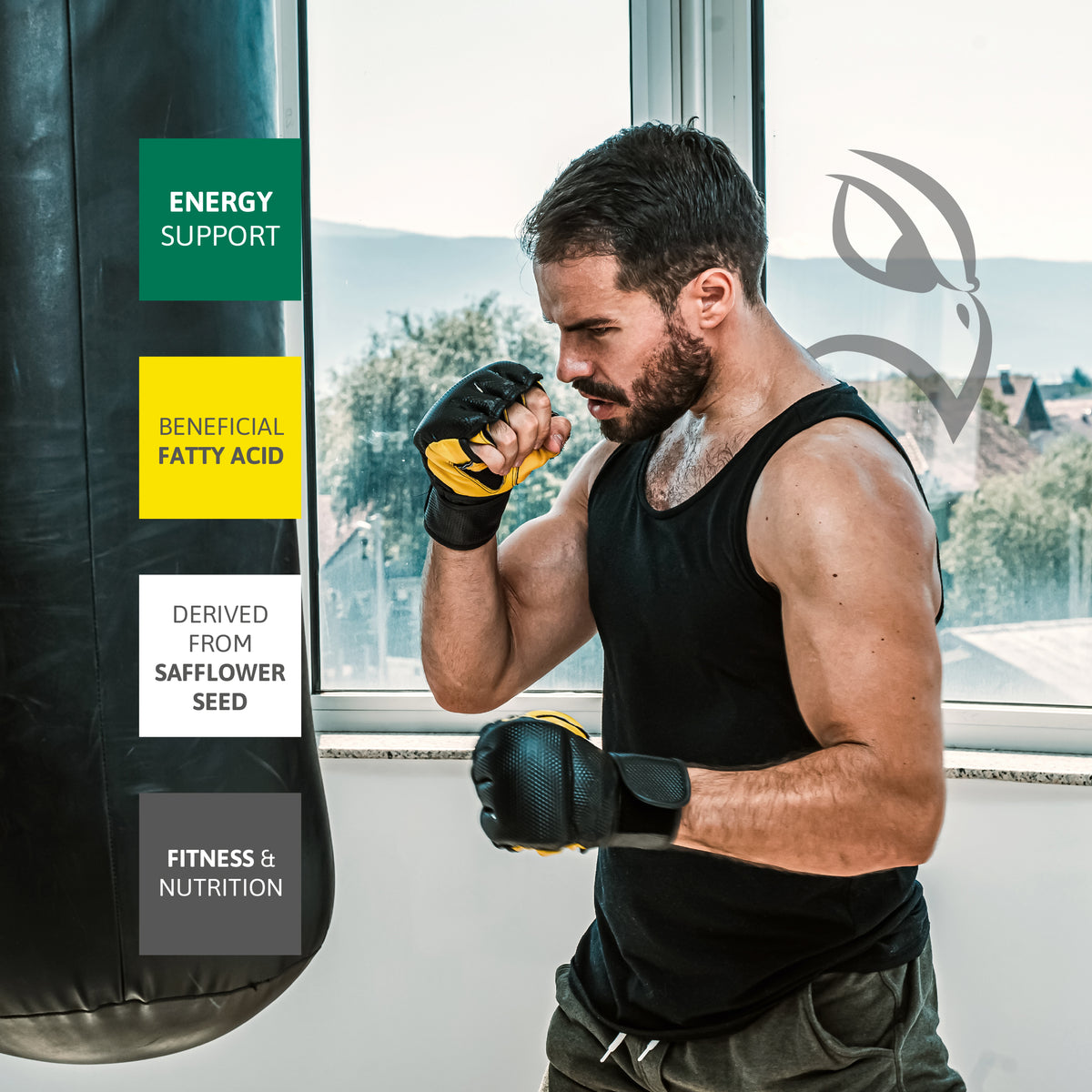 CLA Conjugated Linoleic Acid fitness nutrition image with energy support and fatty acid benefits