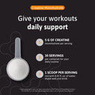 Creatine monohydrate powder providing 5 g per serving, 30 servings per container, and one scoop per serving.