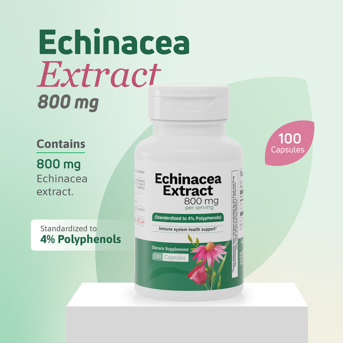 Echinacea Extract 800 mg supplement with 4% polyphenols and 100 capsules on a green wellness background.