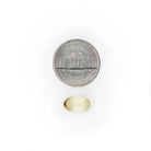 Garlic Oil yellow softgel size comparison with a five cent coin