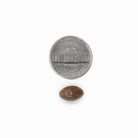 Ginkgo Biloba softgel size comparison shown next to a U.S. nickel coin.