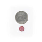 Methyl B12 3000 mcg mouth dissolving tablet size comparison with a five cent coin