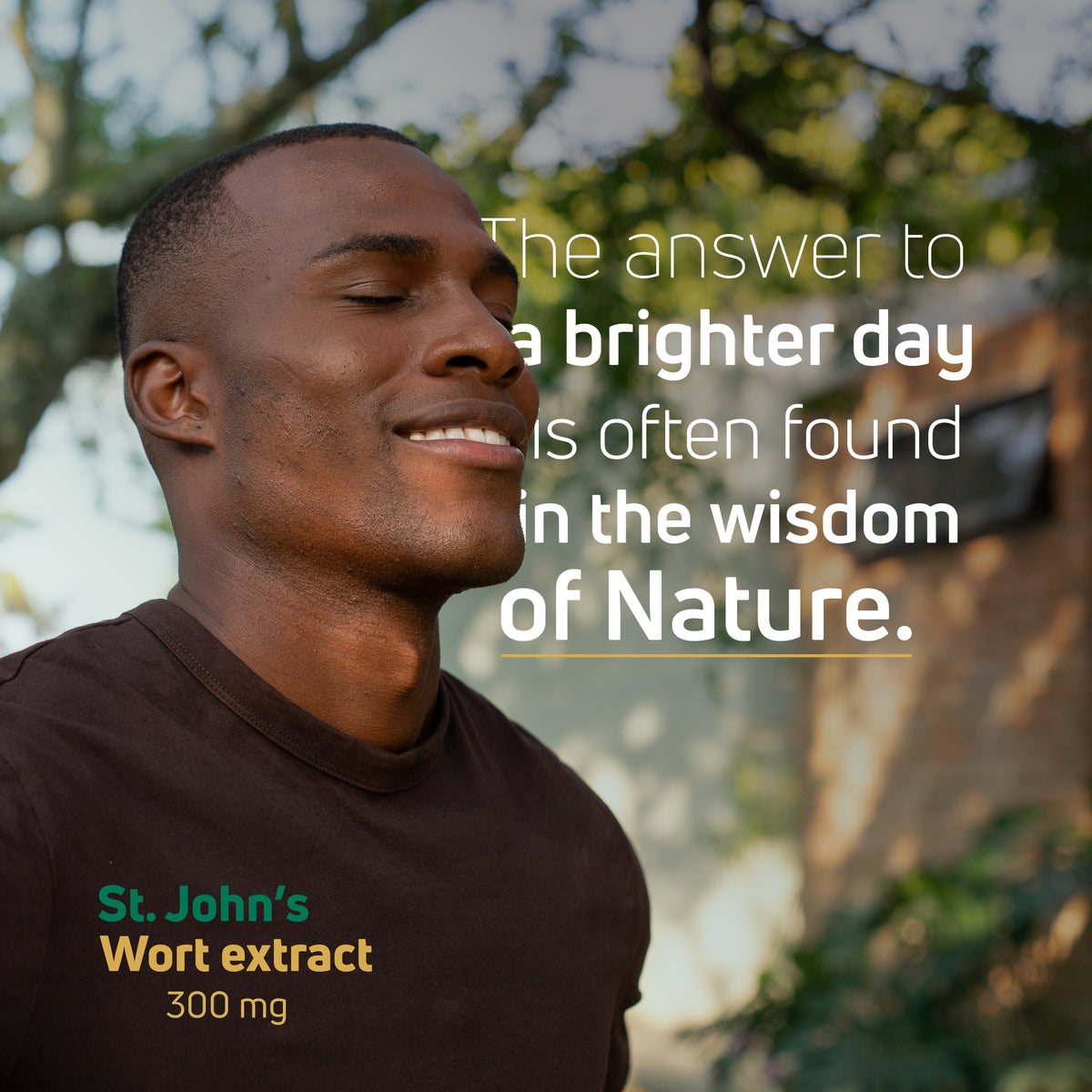 St. John’s Wort Extract 300 mg lifestyle image for daily herbal wellness and nature-inspired support